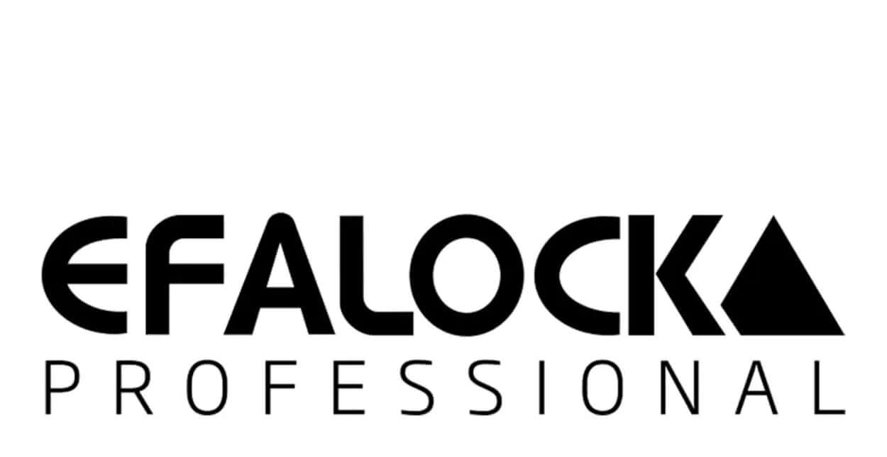 Efalock Professional Combi-Clip, 12 Stück In Rot – Federleichte Haarklammer Mit Edelstahlfeder