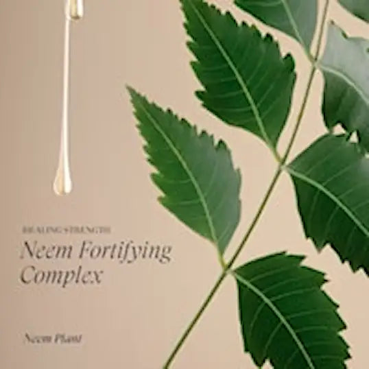 L'anza Strenght Shampoo 300 ml