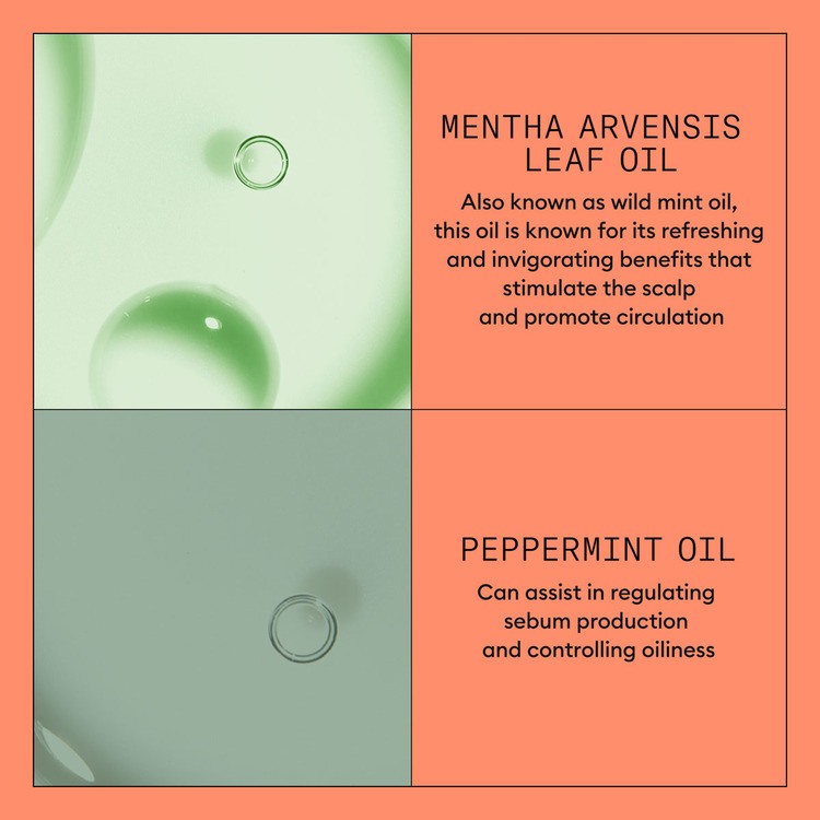 Nioxin System 4 Conditioner 300 ml