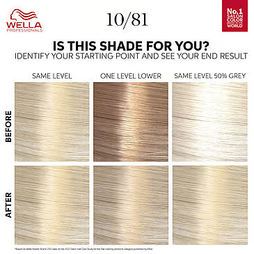 Color Touch Rich Natural Platinum Blonde 10/81