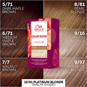 Color Touch Rich Natural Platinum Blonde 10/81