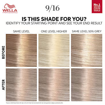 Color Touch Rich Naturals Icy Ash Blonde 9/16