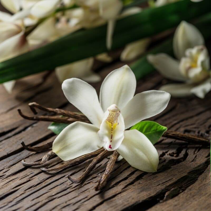 ACORELLE Roll on Eau de Parfum- Douceur Vanillée 50ml-Parfyme-JKSHOP