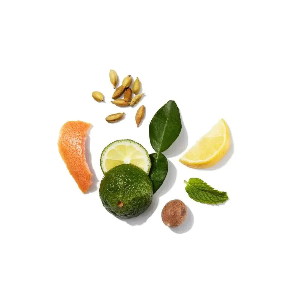 Alterna Canvas Me Time Everyday Conditioner 250ml-Balsam-JKSHOP