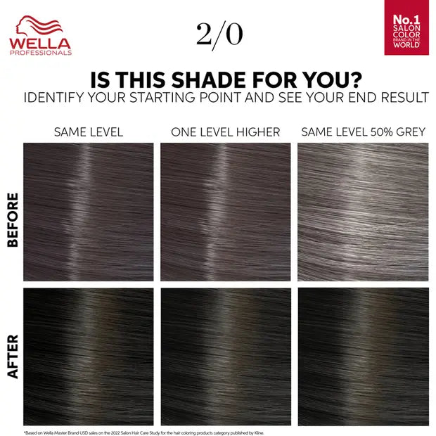 Color Touch Pure Naturals Black 2/0