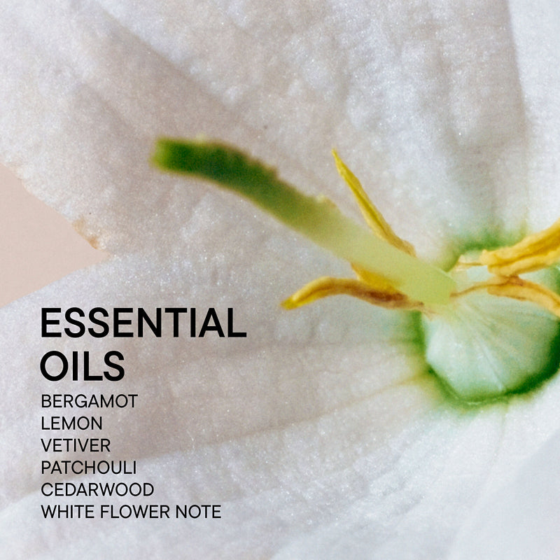 Babor Soul & Room Fragrance Grounding 220 ml - Duft - JK-Shop