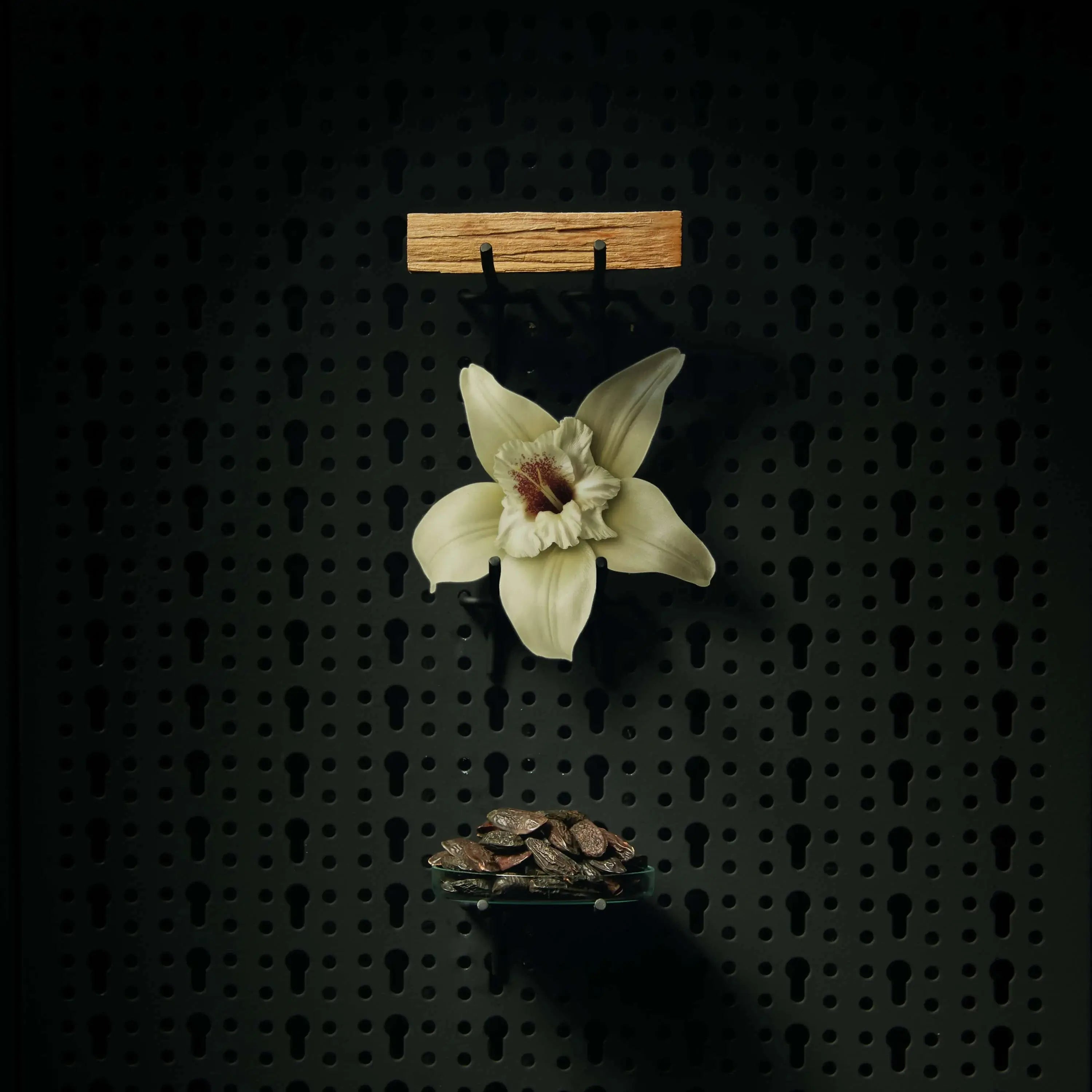 Beviro Beard Oil, Honkatonk Vanilla- TESTER-Skjeggolje-JKSHOP