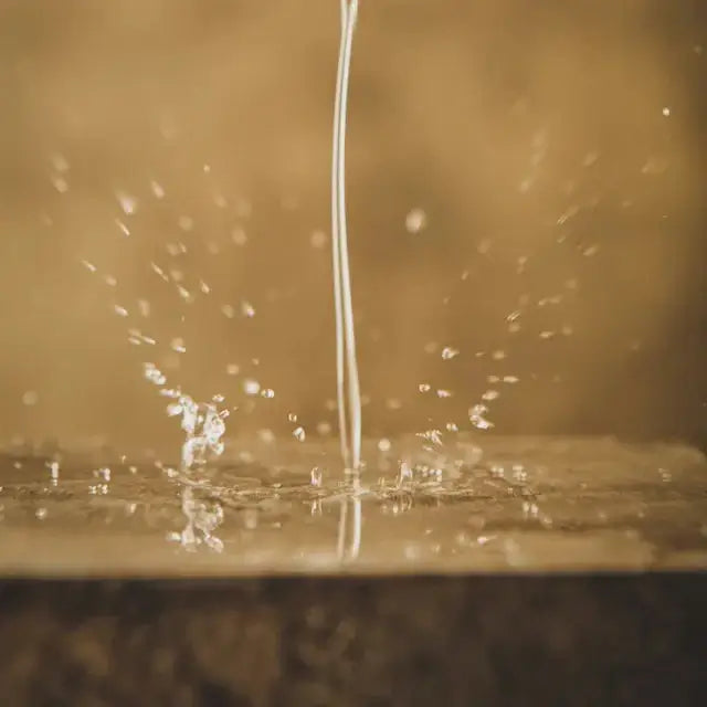 Beviro, Cologne-Sophisticated-Cologne-JKSHOP