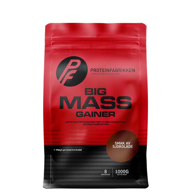 Big Mass Gainer, 1000 g - Gainer - JK-Shop
