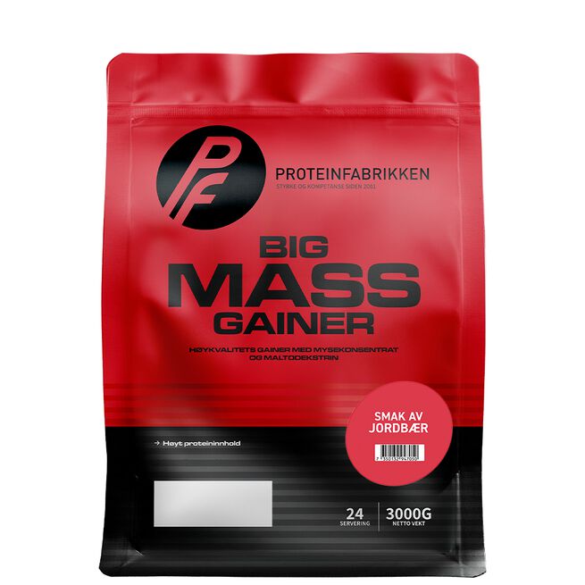 Big Mass Gainer 3000 g - Gainer - JK-Shop