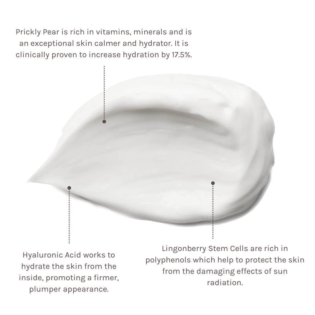 EVOLVE Climate Defence Facial Cream- SPF30-Fuktighetskrem-JKSHOP