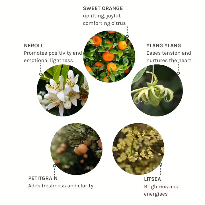 EVOLVE Joyful Light Pulse Point Roller 10ml - Kroppsolje - JK-Shop