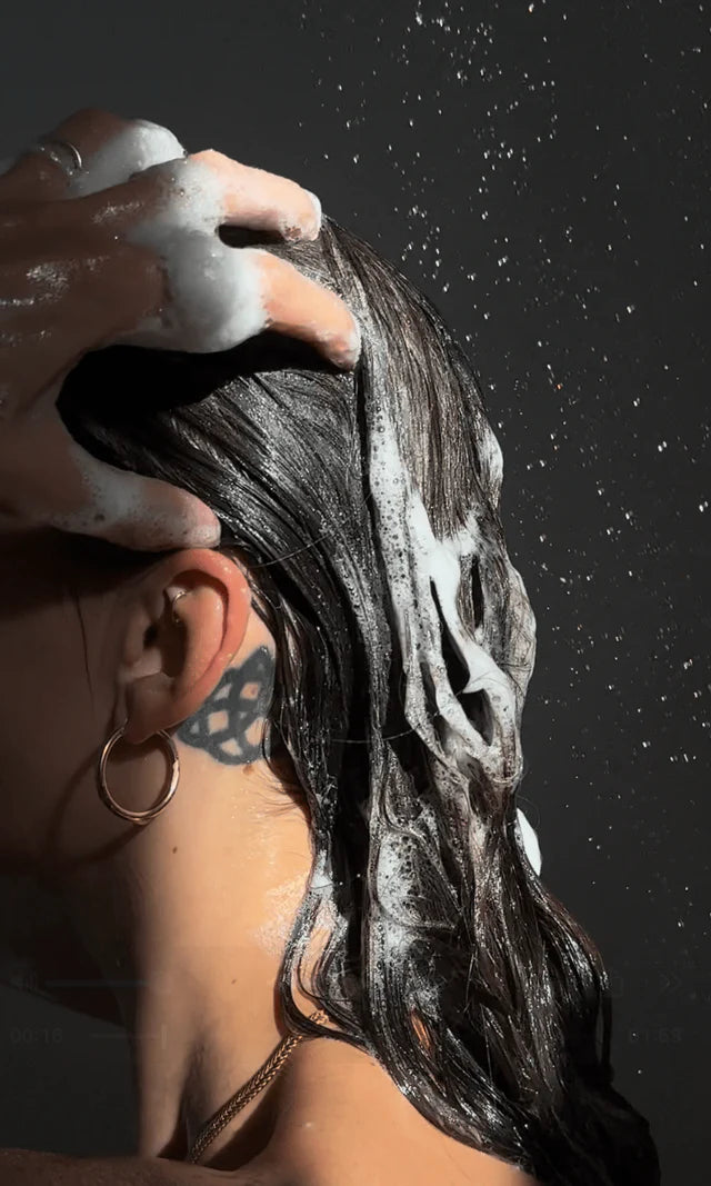 FirstHand Equilibrium Shampoo Refill - Sjampo - JK-Shop