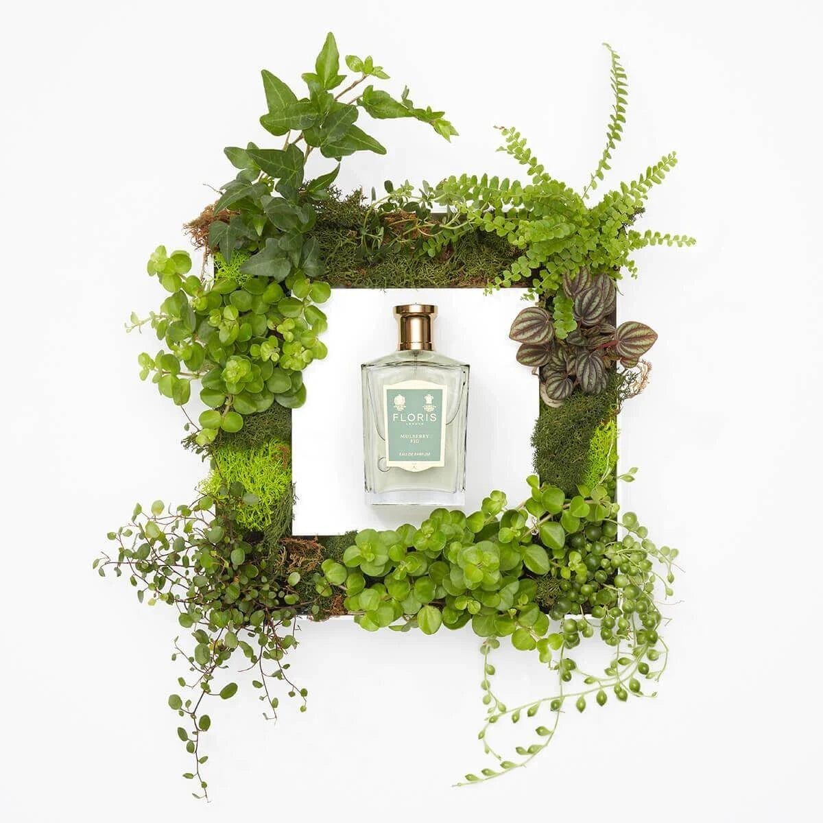 Floris Mulberry Fig, Eau de Parfum, 100 ml-Parfyme-JKSHOP