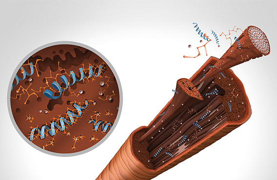 Goldwell Bond Pro Conditioner Travel Size - Balsam - JK-Shop