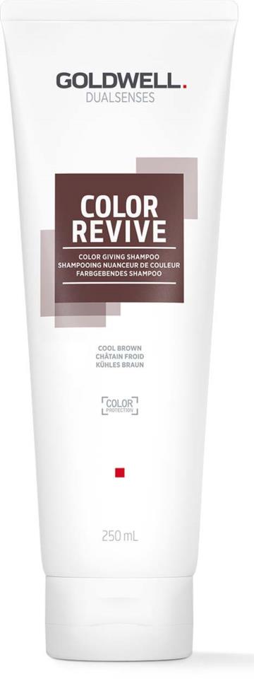 Goldwell Dualsense Color Giving Shampoo - Hårfarge - JK-Shop