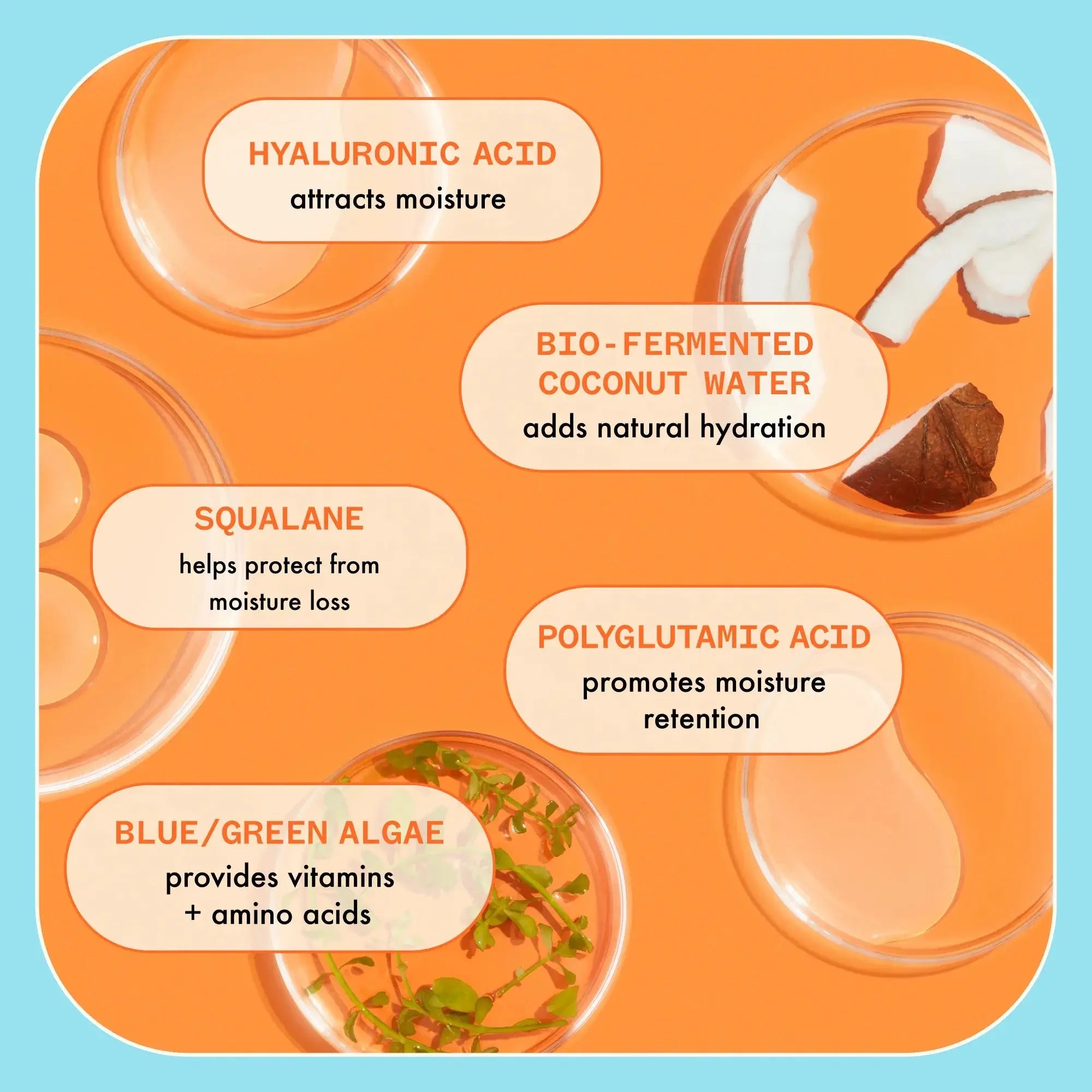 Amika Hydro Rush Intense Moisture Shampoo 500ml-Sjampo-JKSHOP