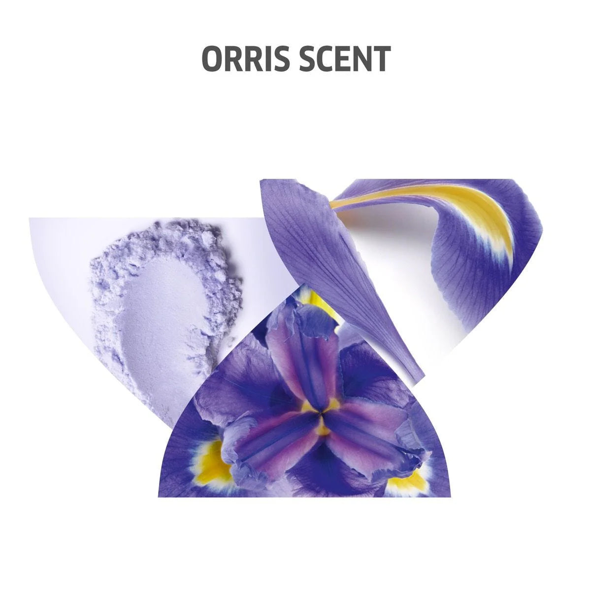 INVIGO Warm Blond Conditioner 200ml - - JK-Shop