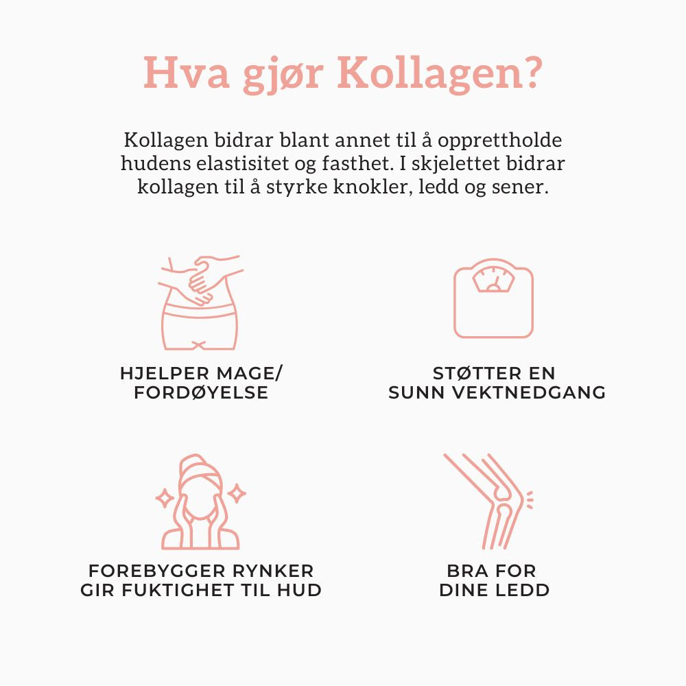 KOLLAGEN 2, HYALURONSYRE & FURUBARK - Vitaminer og kosttilskudd - JK-Shop