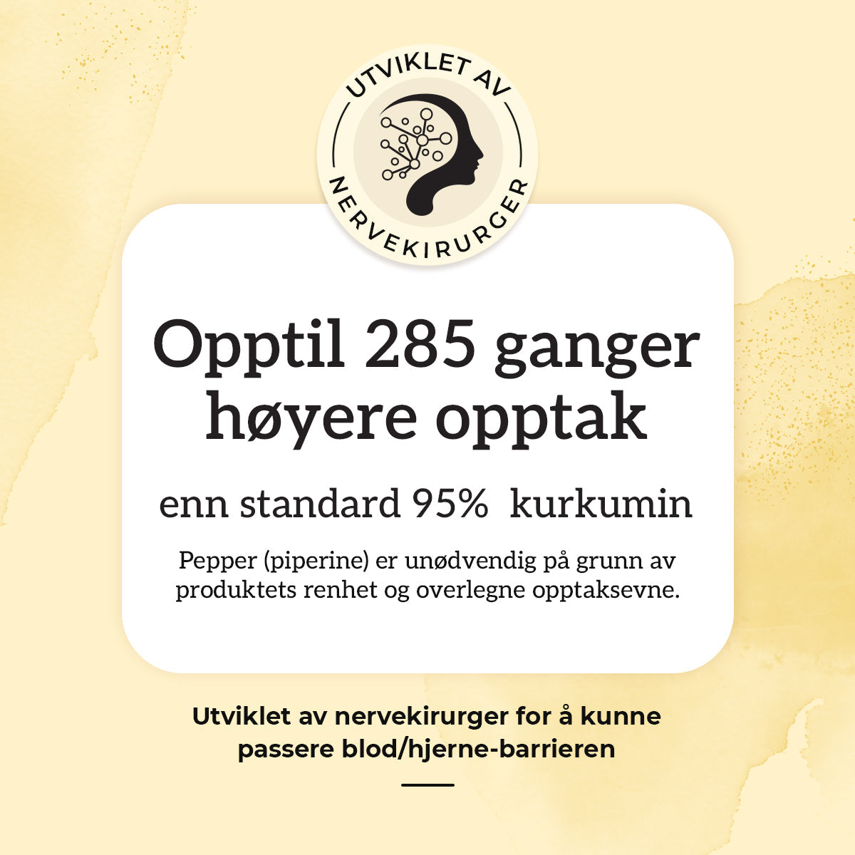 KURKUMIN, INGEFÆR & B12 - Vitaminer og kosttilskudd - JK-Shop