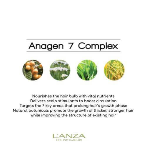 L'ANZA, Nourish Stimulating Shampoo-Sjampo-JKSHOP