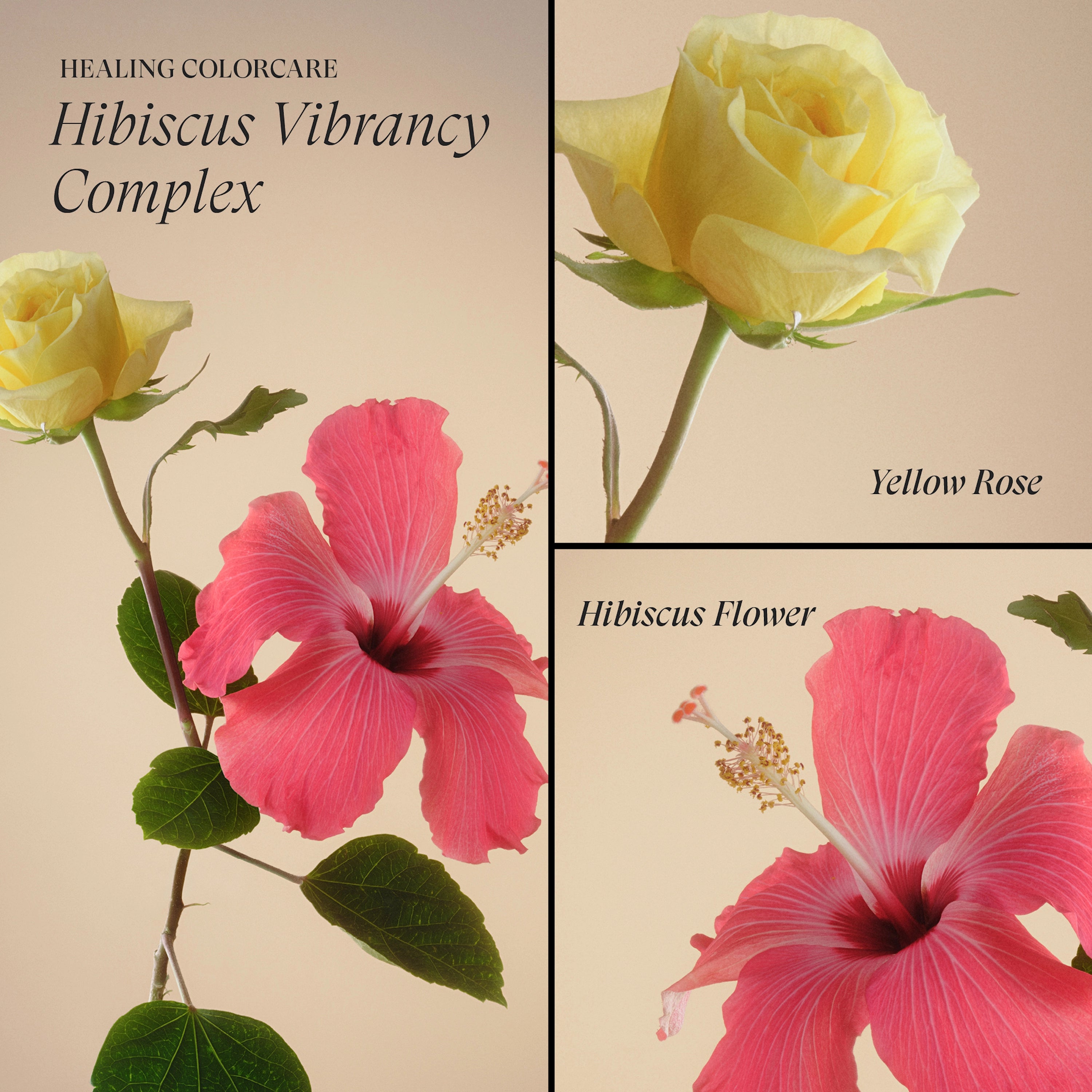 Lanza Healing Colorcare - 8 varianter - Hårpleie - JK-Shop