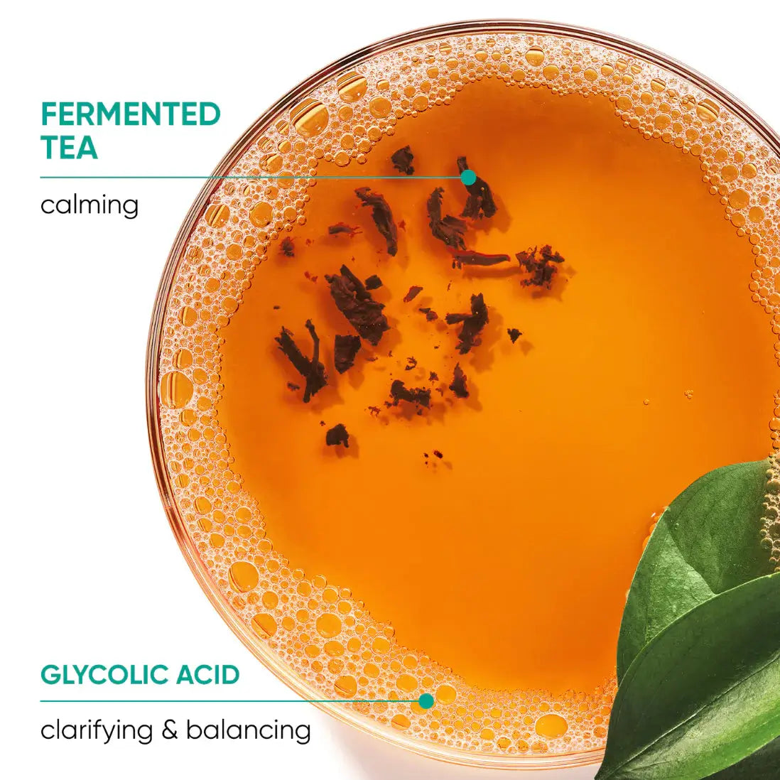 Matrix Biolage, Scalp Sync Anti-Dandruff Shampoo-Sjampo-JKSHOP