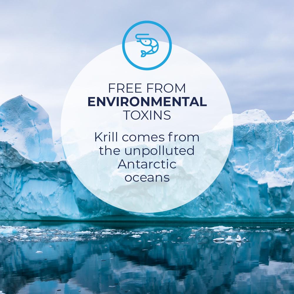 OMEGA3 KRILL, KOLIN & ASTAXANTHIN - Vitaminer og kosttilskudd - JK-Shop