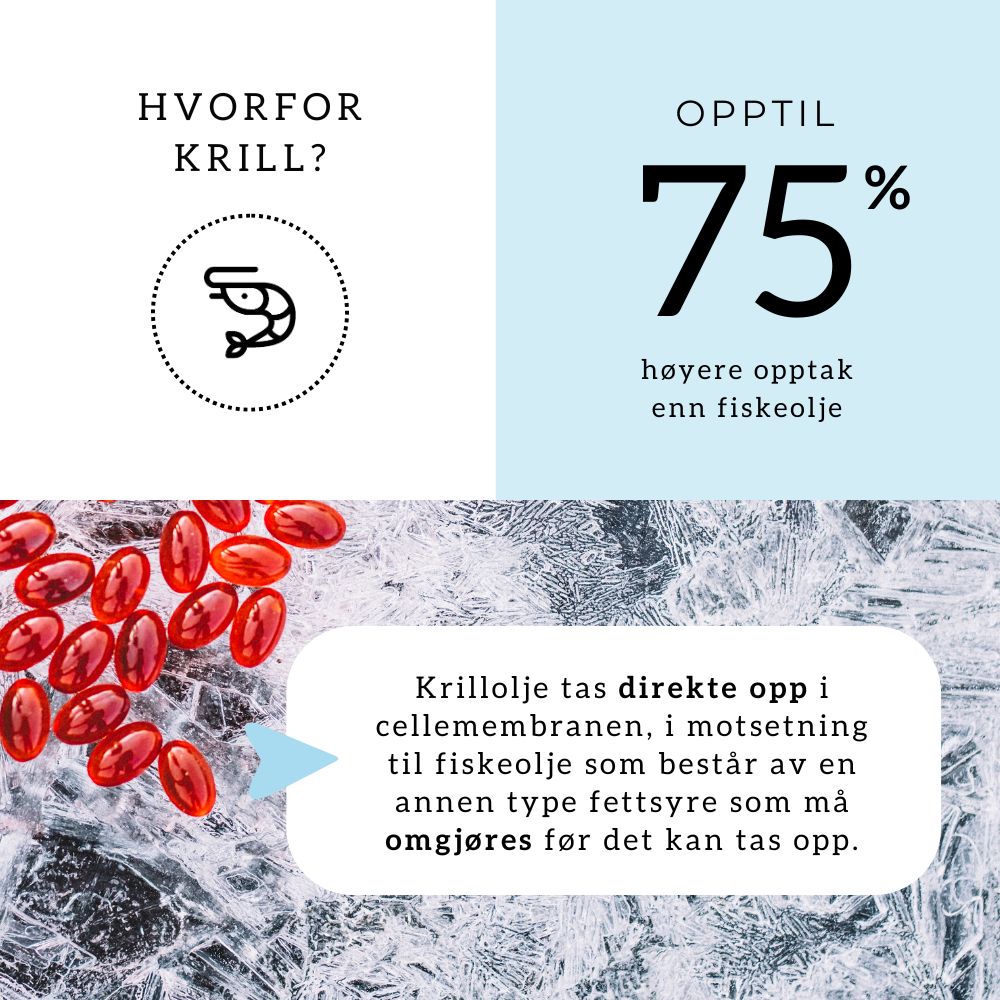 OMEGA3 KRILL, KOLIN & ASTAXANTHIN - Vitaminer og kosttilskudd - JK-Shop