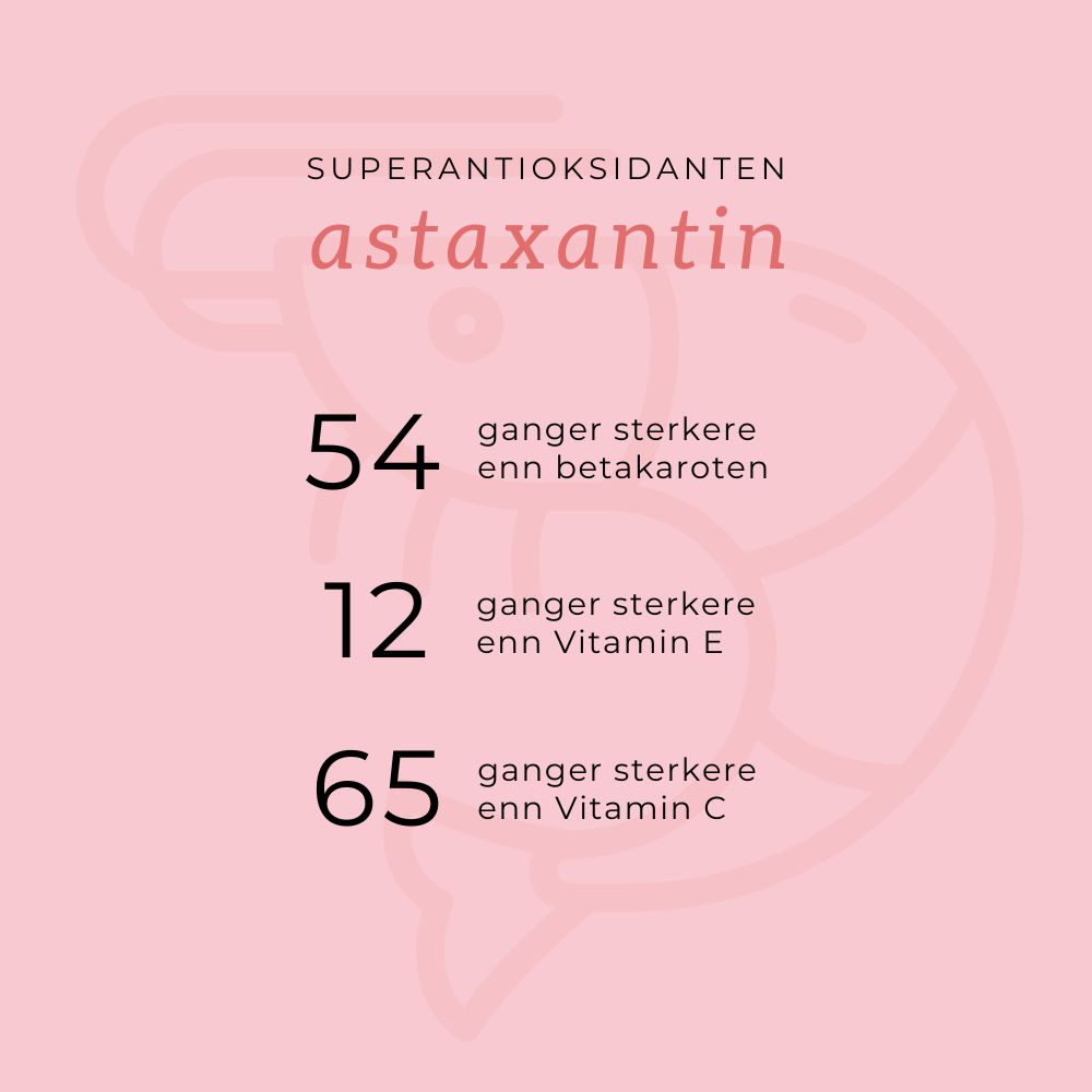 OMEGA3 KRILL, KOLIN & ASTAXANTHIN - Vitaminer og kosttilskudd - JK-Shop
