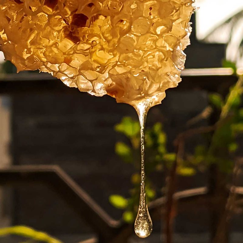 Panier Regenerating Honey Flytende Såpe - 500ml - Såpe - JK-Shop