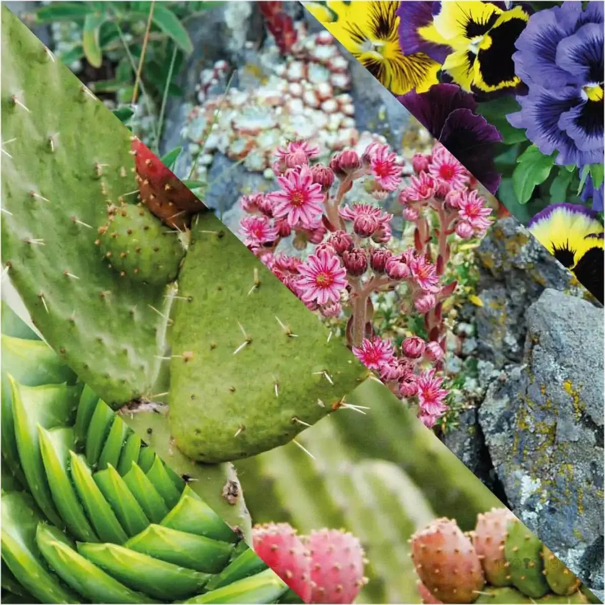 Plisson, After Shave Balm-Etterbarberingskrem-JKSHOP