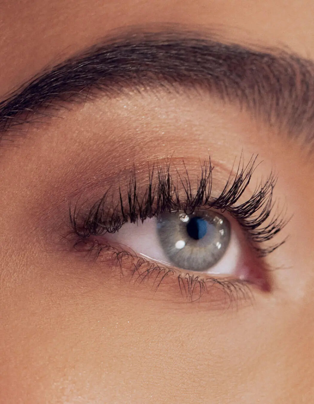 RevitaLash Signature Eyelash Curler - Vippebøyer - JK-Shop