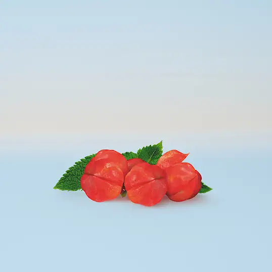 Schwarzkopf BC Scalp Root Act Shampoo 250ml - Sjampo - JK-Shop