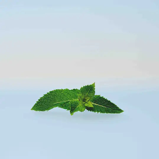 Schwarzkopf BC Scalp Soothing Shampoo 250ml - Sjampo - JK-Shop