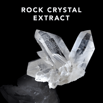 Sebastian Professional, Trilliance Shampoo-Sjampo-JKSHOP