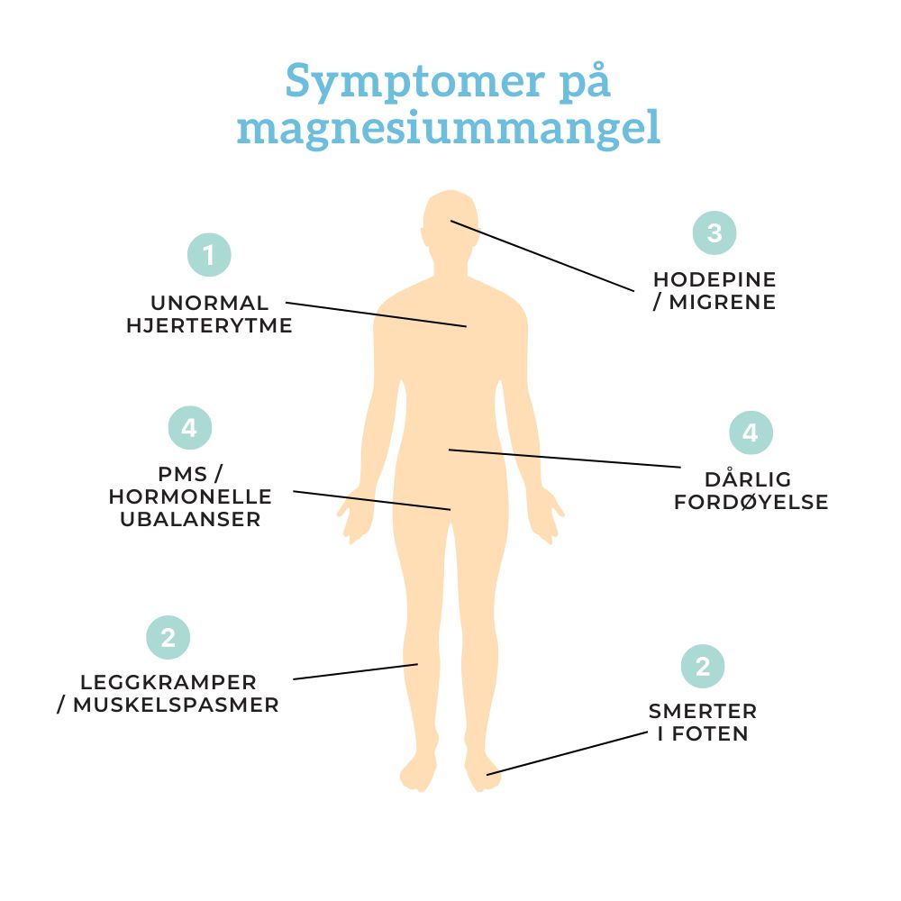 TRIPPEL MAGNESIUM & B6 - Vitaminer og kosttilskudd - JK-Shop