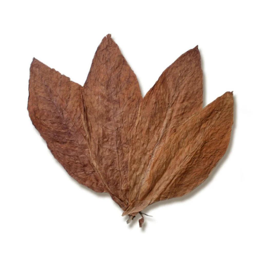 Taylor of old Bond Street, Tobacco Leaf Aftershave Lotion-Etterbarberingsvann-JKSHOP