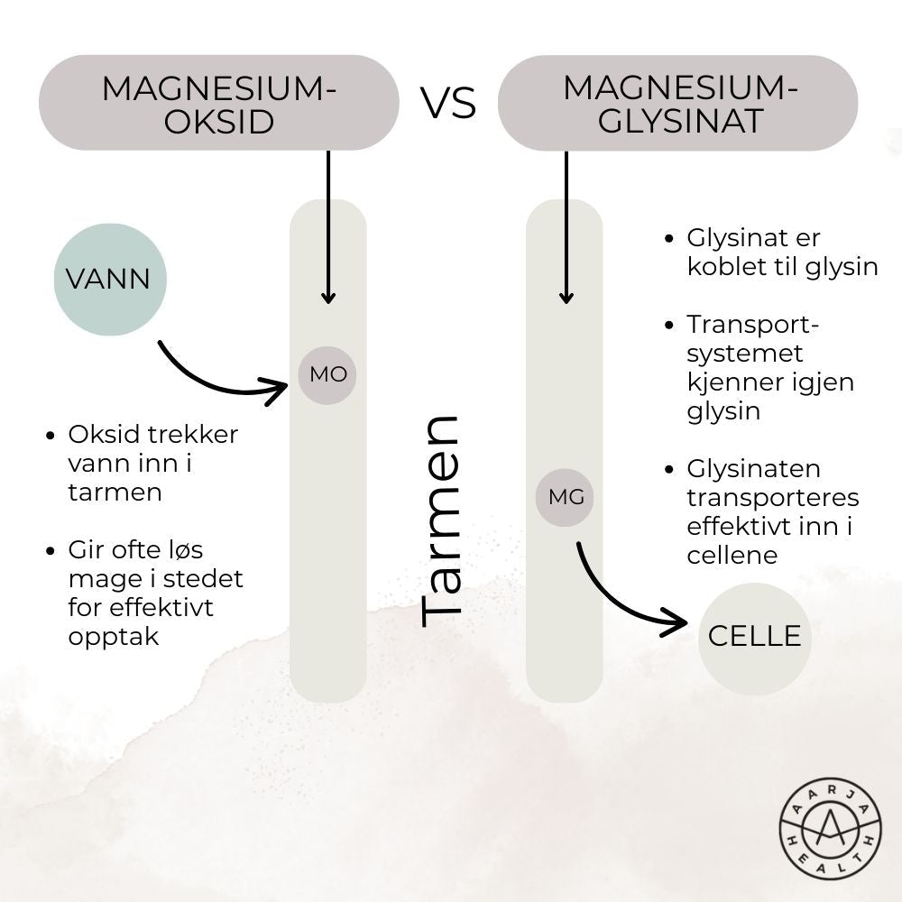 ZMA - MAGNESIUM GLYSINAT - Vitaminer og kosttilskudd - JK-Shop