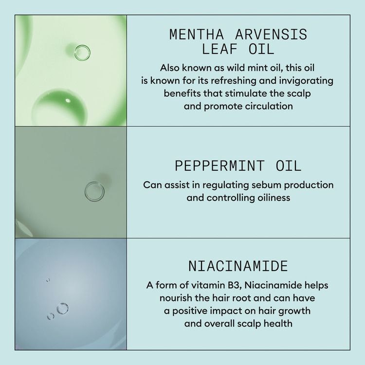 Nioxin Scalp Recovery Kit