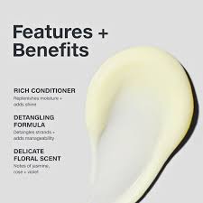 Paul Mitchell The Detangler Conditioner 300 ml