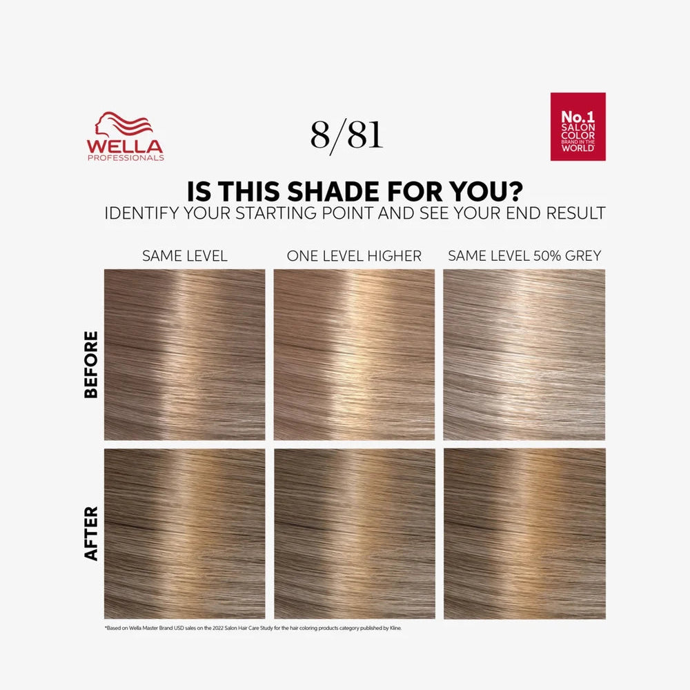 Color Touch Rich Natural Pearl Blonde 8/81