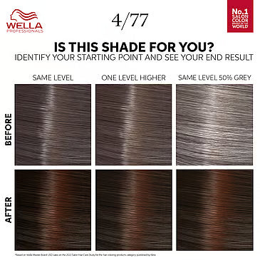 Color Touch Deep Brown Espresso 4/77