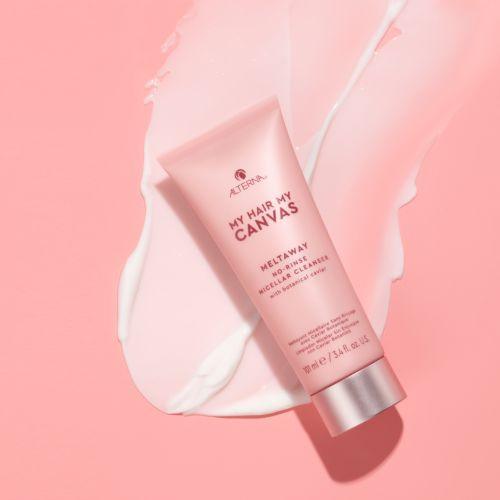 Alterna Canvas, Micellar Meltaway-Alterna-Leave-in-JKSHOP