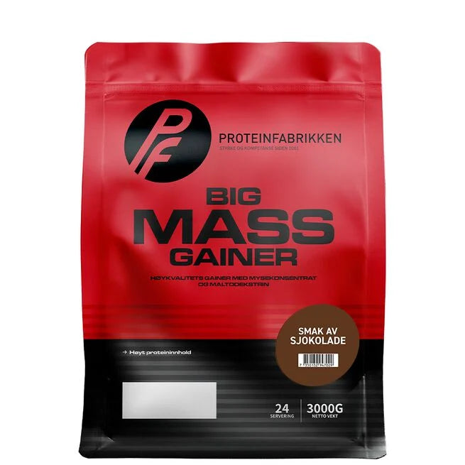 Big Mass Gainer 3000 g - Gainer - JK-Shop