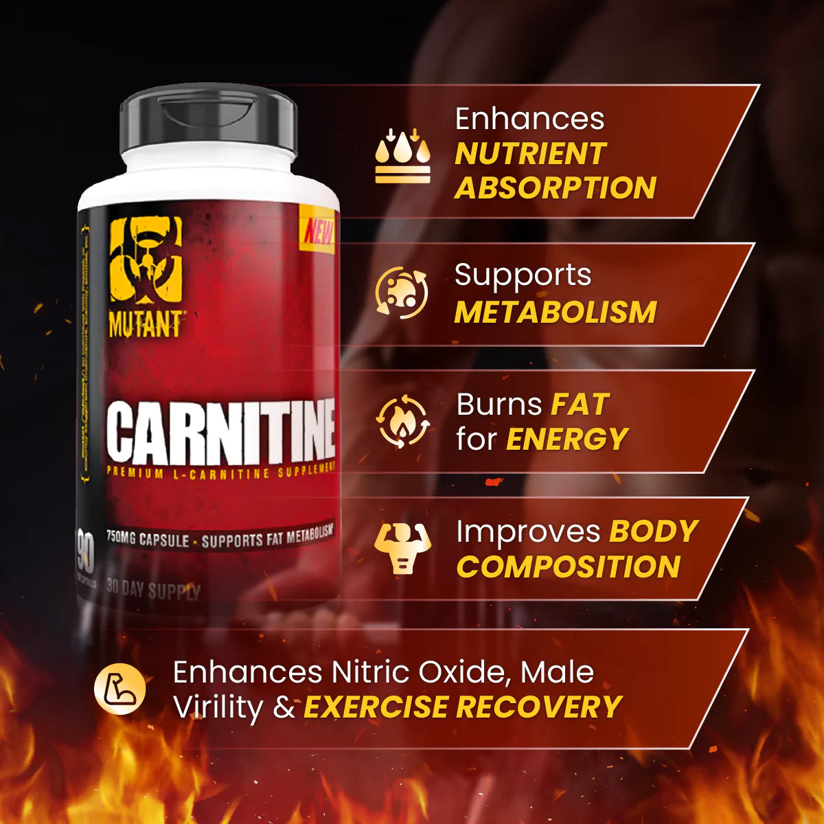 Core Series Carnitine L-Karnitin 90 kapsler - Vitaminer & kosttilskudd - JK-Shop