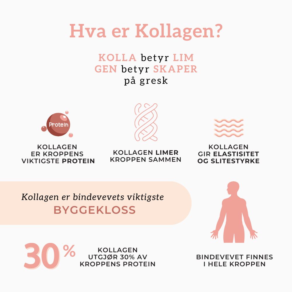 KOLLAGEN 2, HYALURONSYRE & FURUBARK - Vitaminer og kosttilskudd - JK-Shop