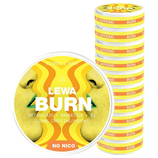 LEWA Burn Citrus & Mint 20 poser - Fokus & Nootropics - JK-Shop