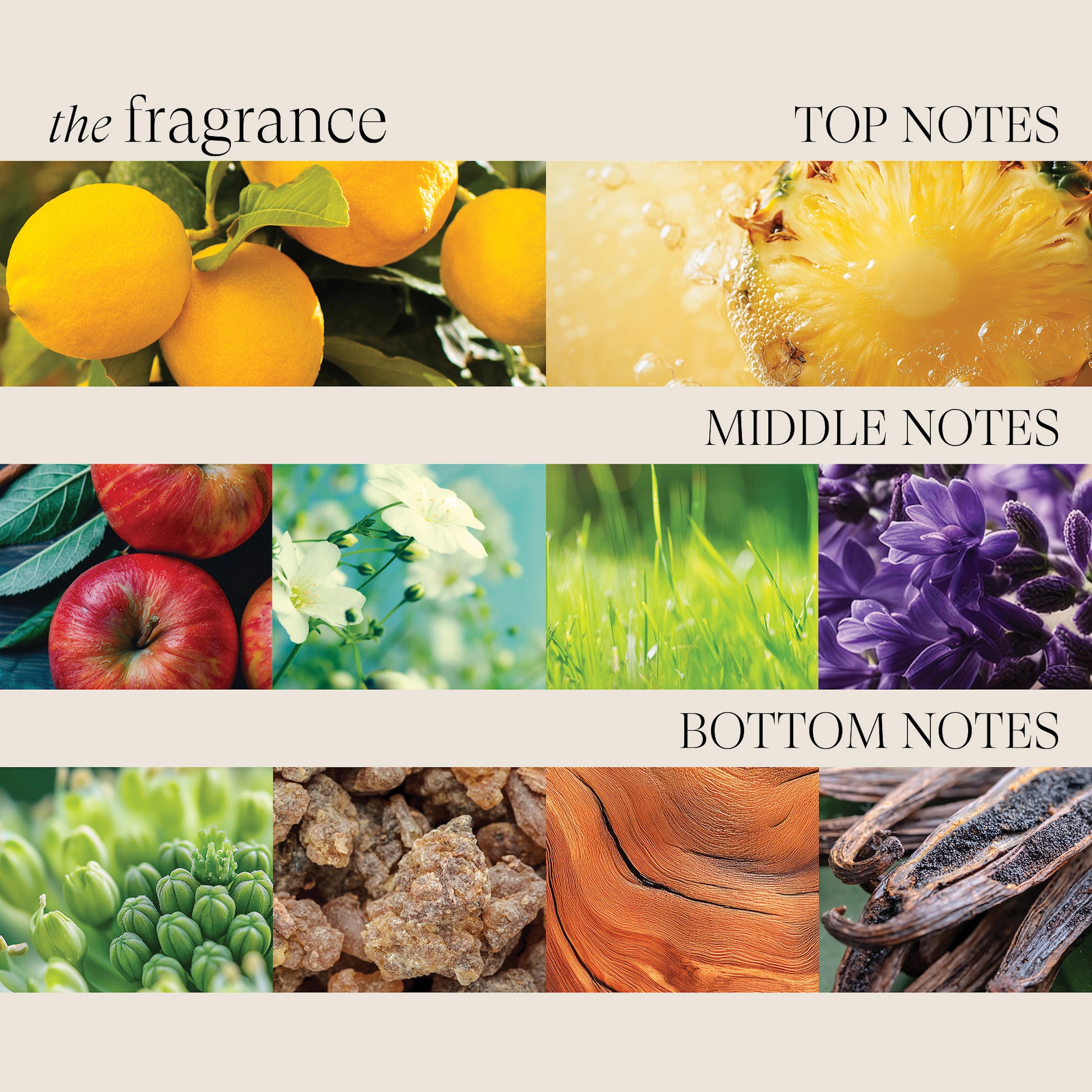 Lanza Healing Colorcare - 8 varianter - Hårpleie - JK-Shop
