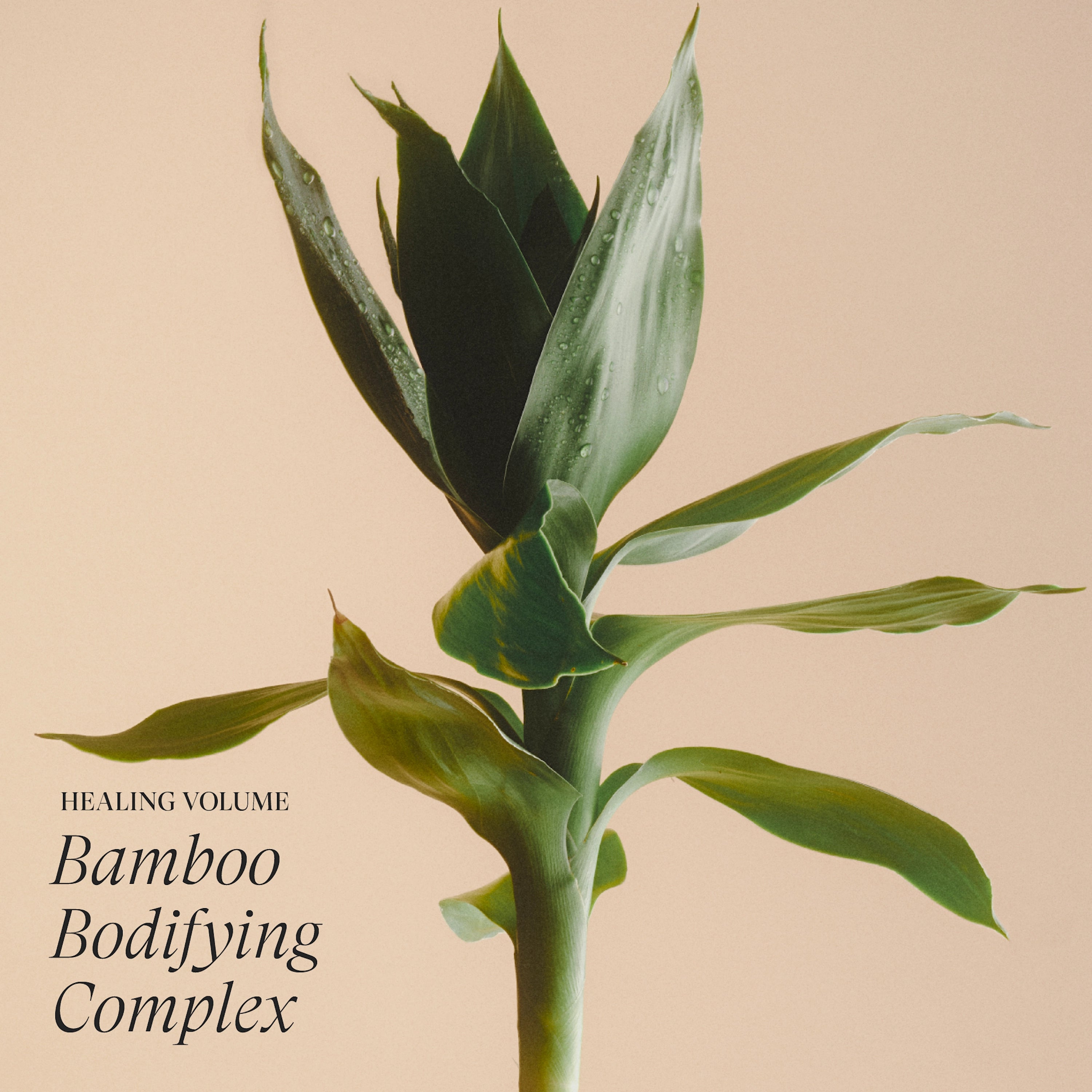 Lanza Healing Volume - Sjampo & balsam - JK-Shop